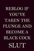 100076 - Black Cock Gallery