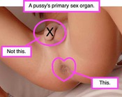 101369 - Black Cock Gallery