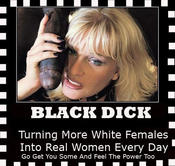 101382 - Black Cock Gallery