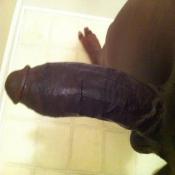1027 - Black Cock Gallery