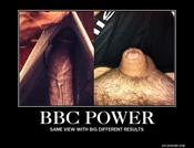 103358 - Black Cock Gallery