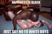 103512 - Black Cock Gallery