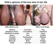 103623 - Black Cock Gallery