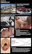103752 - Black Cock Gallery