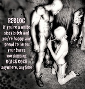 103929 - Black Cock Gallery