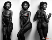 104866 - Black Cock Gallery