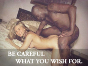 105875 - Black Cock Gallery