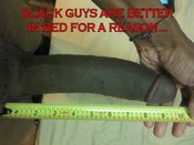 105882 - Black Cock Gallery