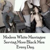 106635 - Black Cock Gallery