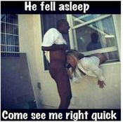 106705 - Black Cock Gallery