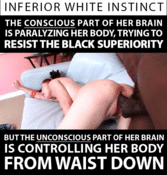 106801 - Black Cock Gallery