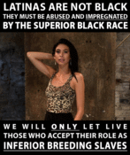 106826 - Black Cock Gallery