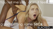 107464 - Black Cock Gallery