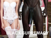 107646 - Black Cock Gallery