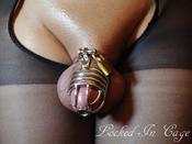 108558 - Black Cock Gallery
