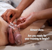 108622 - Black Cock Gallery