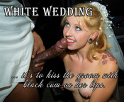 108624 - Black Cock Gallery