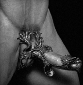 109291 - Black Cock Gallery