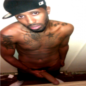 109865 - Black Cock Gallery