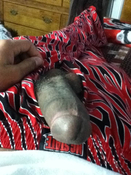 110222 - Black Cock Gallery