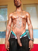 110854 - Black Cock Gallery