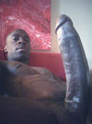 110969 - Black Cock Gallery