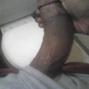 1117 - Black Cock Gallery