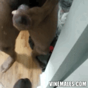 111851 - Black Cock Gallery