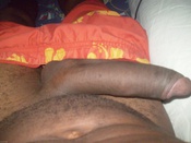 112497 - Black Cock Gallery