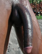 112634 - Black Cock Gallery