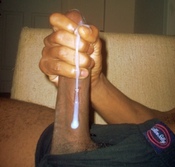 112653 - Black Cock Gallery