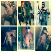 113174 - Black Cock Gallery