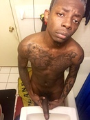 113199 - Black Cock Gallery