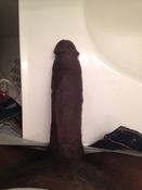 113283 - Black Cock Gallery