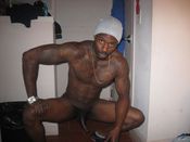 113432 - Black Cock Gallery