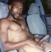 113519 - Black Cock Gallery