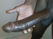 113525 - Black Cock Gallery