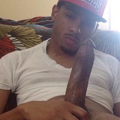 113631 - Black Cock Gallery