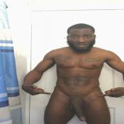 113729 - Black Cock Gallery