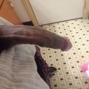 113852 - Black Cock Gallery