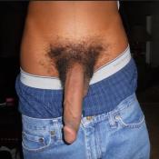 114052 - Black Cock Gallery