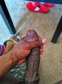 114171 - Black Cock Gallery