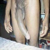1145 - Black Cock Gallery