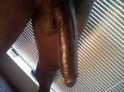 114786 - Black Cock Gallery