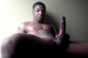 114798 - Black Cock Gallery