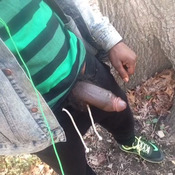 114817 - Black Cock Gallery