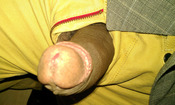 114915 - Black Cock Gallery
