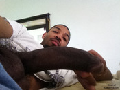 115276 - Black Cock Gallery