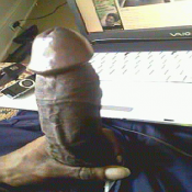 1153 - Black Cock Gallery