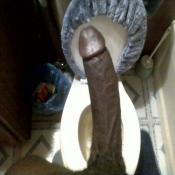 115545 - Black Cock Gallery